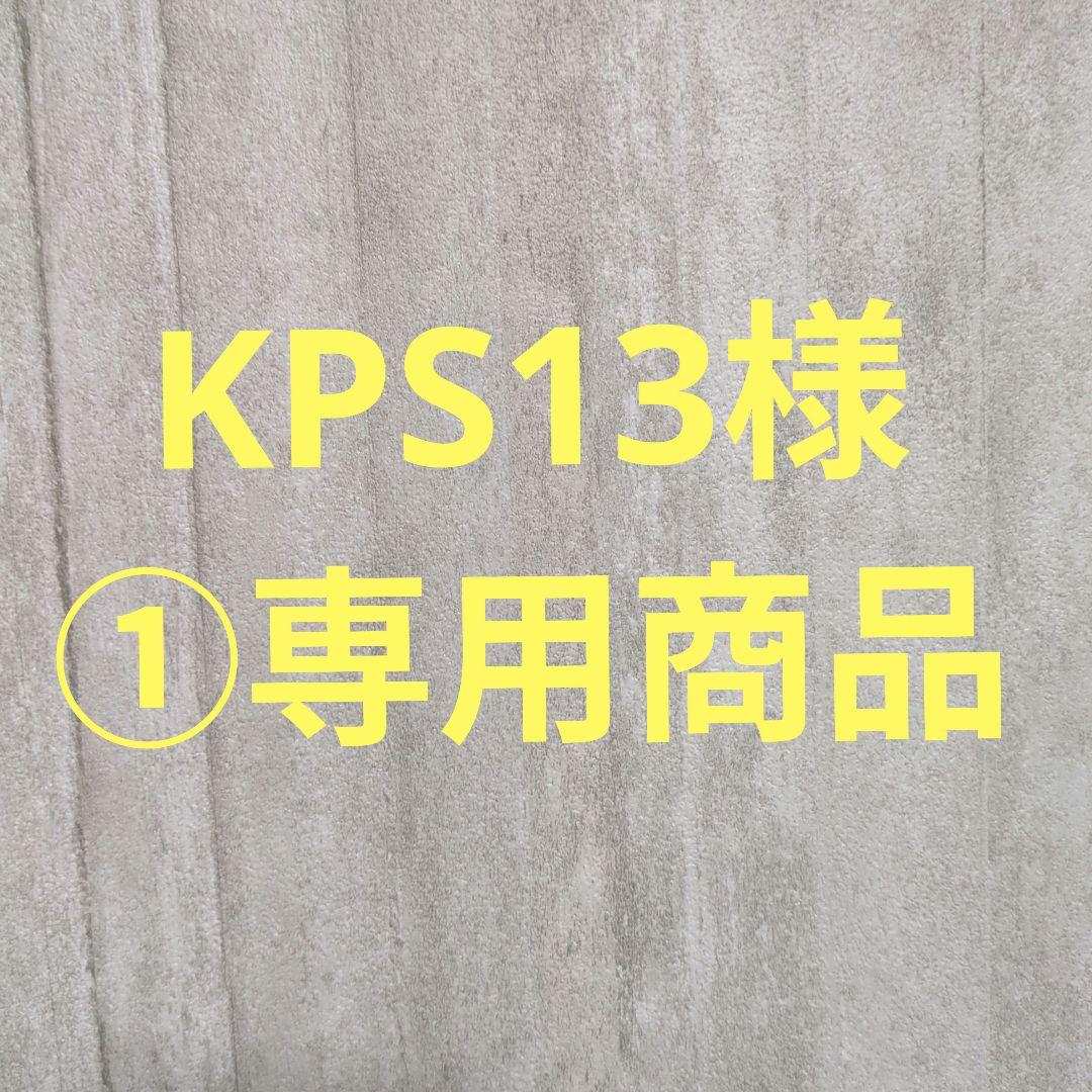 KPS13様①専用商品700R15 10PR LT SP LT 01