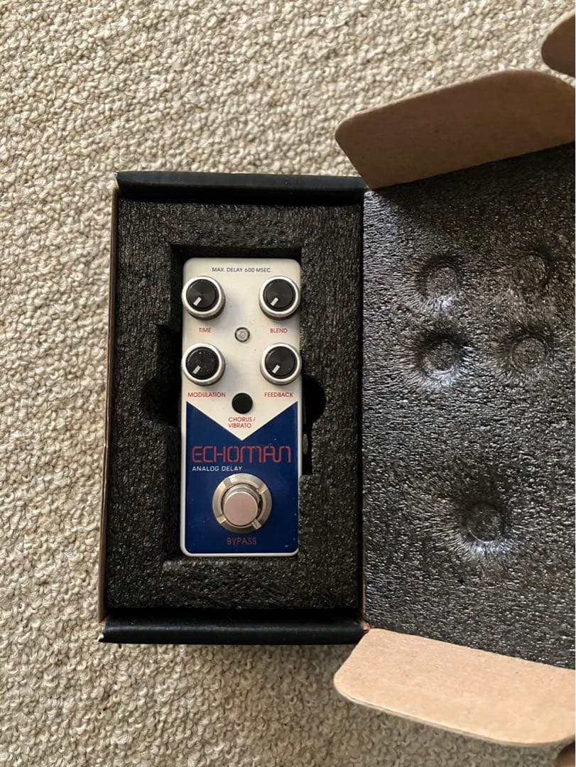 ギター Xvive XV-V21 ECHOMAN