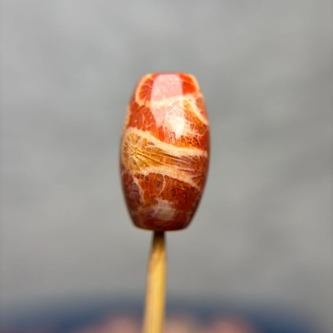 Nagiフォッシルコーラル　天珠　1-290