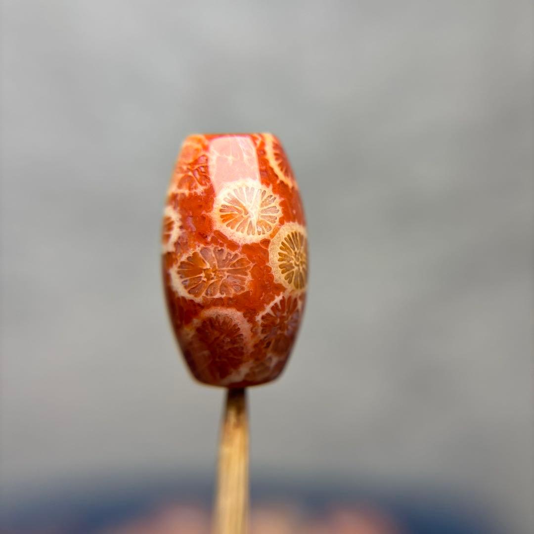 Nagiフォッシルコーラル　天珠　1-290