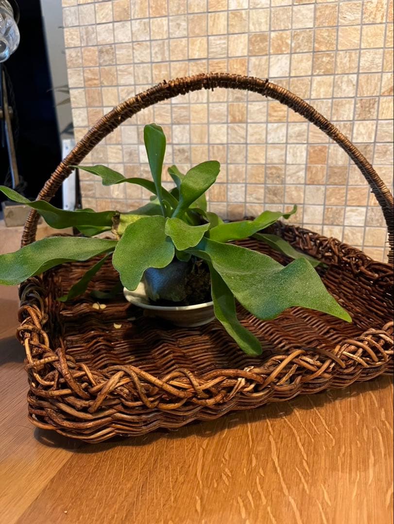 ハンドメイドアケビのカゴ