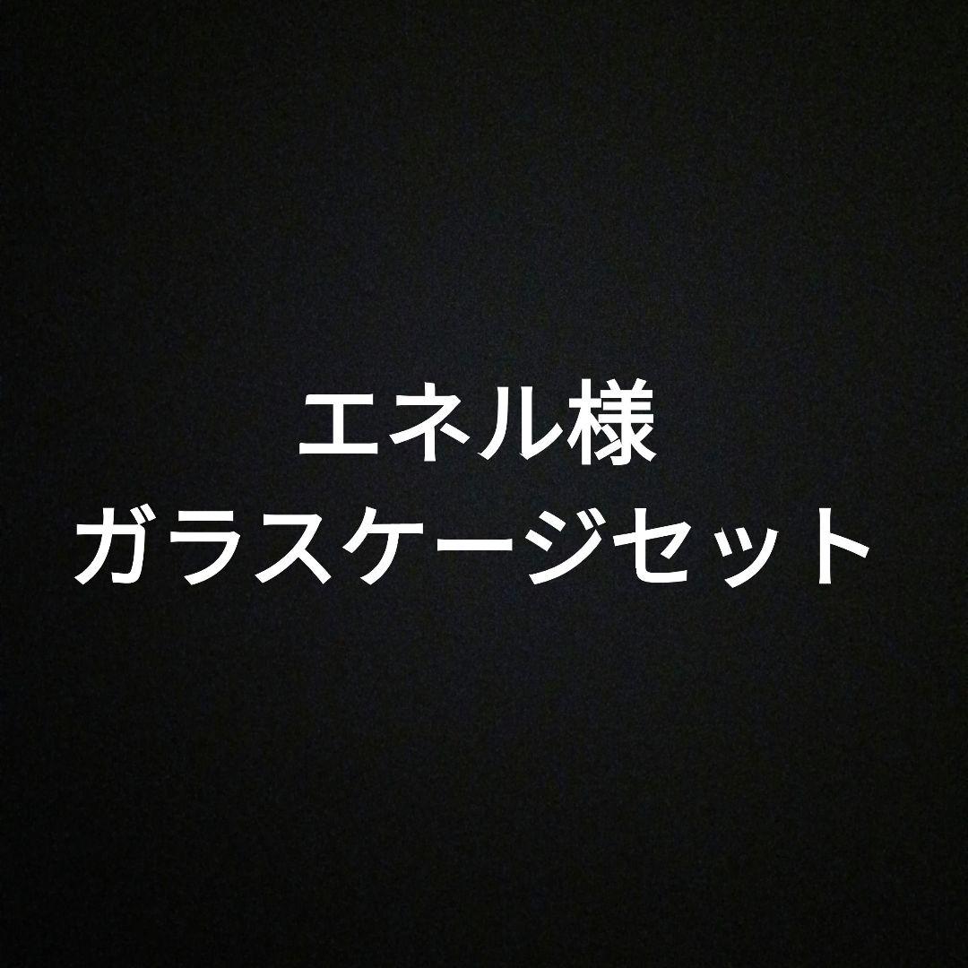 エネル様　ガラスケージ