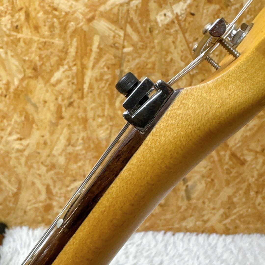 Washburn MERCURY グローバー製ペグ搭載 ブラック マーキュリー