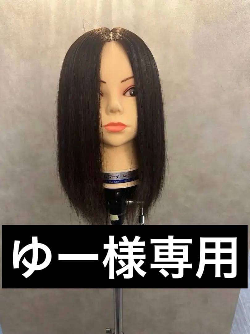 【ゆー】レジーナ337など6体セット！　美容師応援価格　カット練習に。