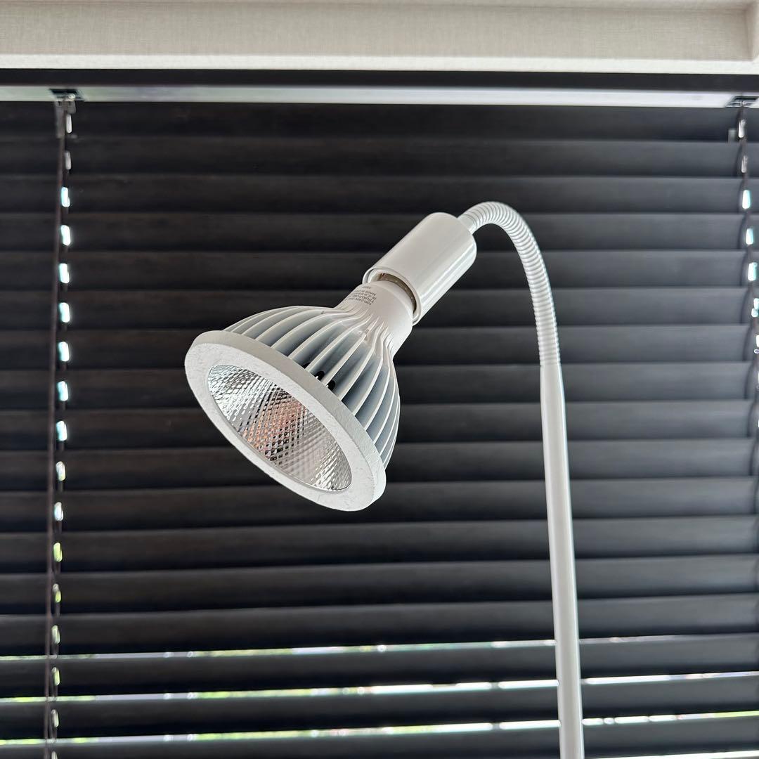 BARRELバレル ライトスタンド＋ネオツクヨミセット