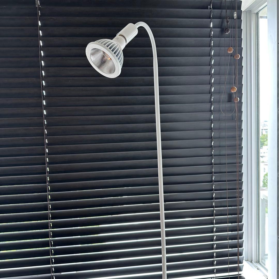 BARRELバレル ライトスタンド＋ネオツクヨミセット