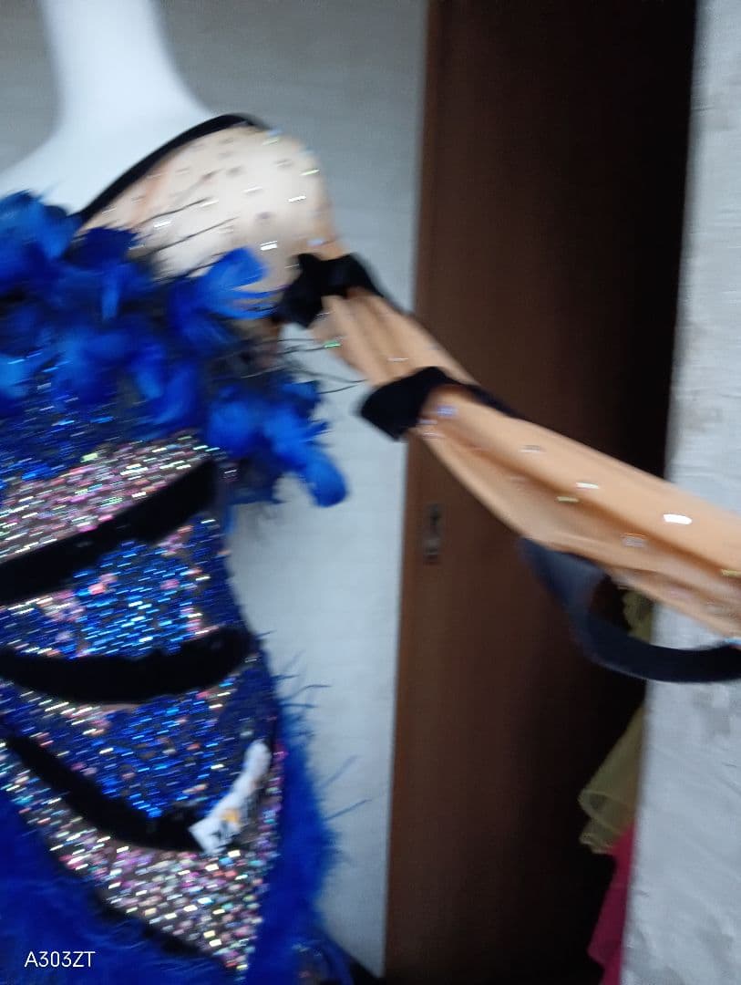 社交ダンスドレスイタリア製SILVIA