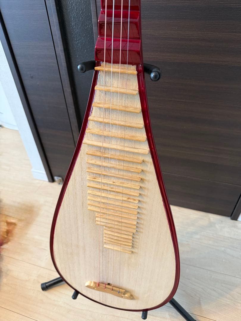【中国琵琶】弾けるインテリア！