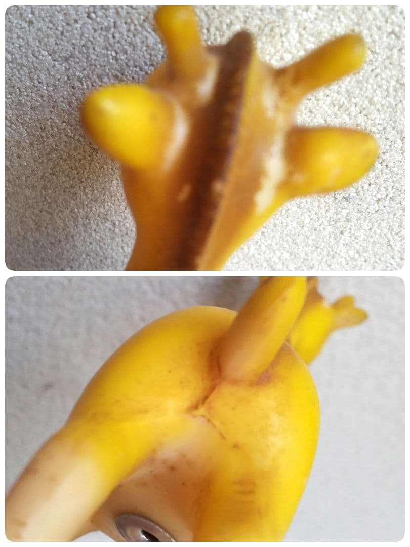 ソフビ うさぎ ねこ いぬ きりん