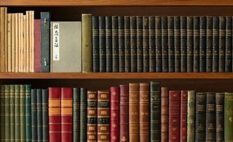 まさむねこ様　1