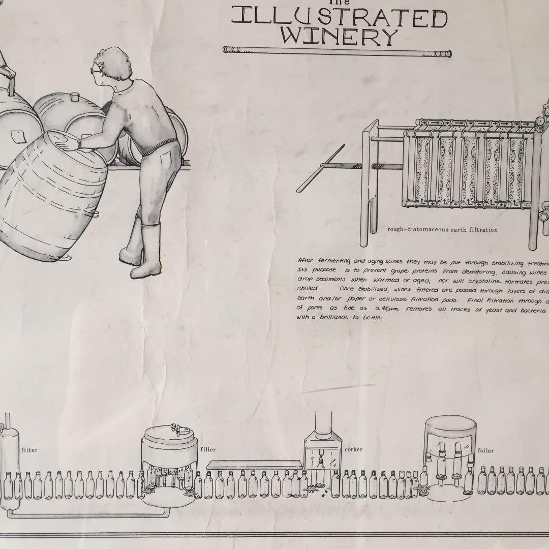 ヴィンテージ ワイナリー イラストポスター