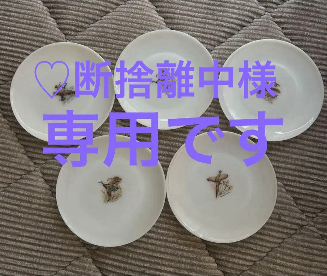 ファイヤーキング プレート　ゲームバード５枚　フェデラル マグカップ 2個セット