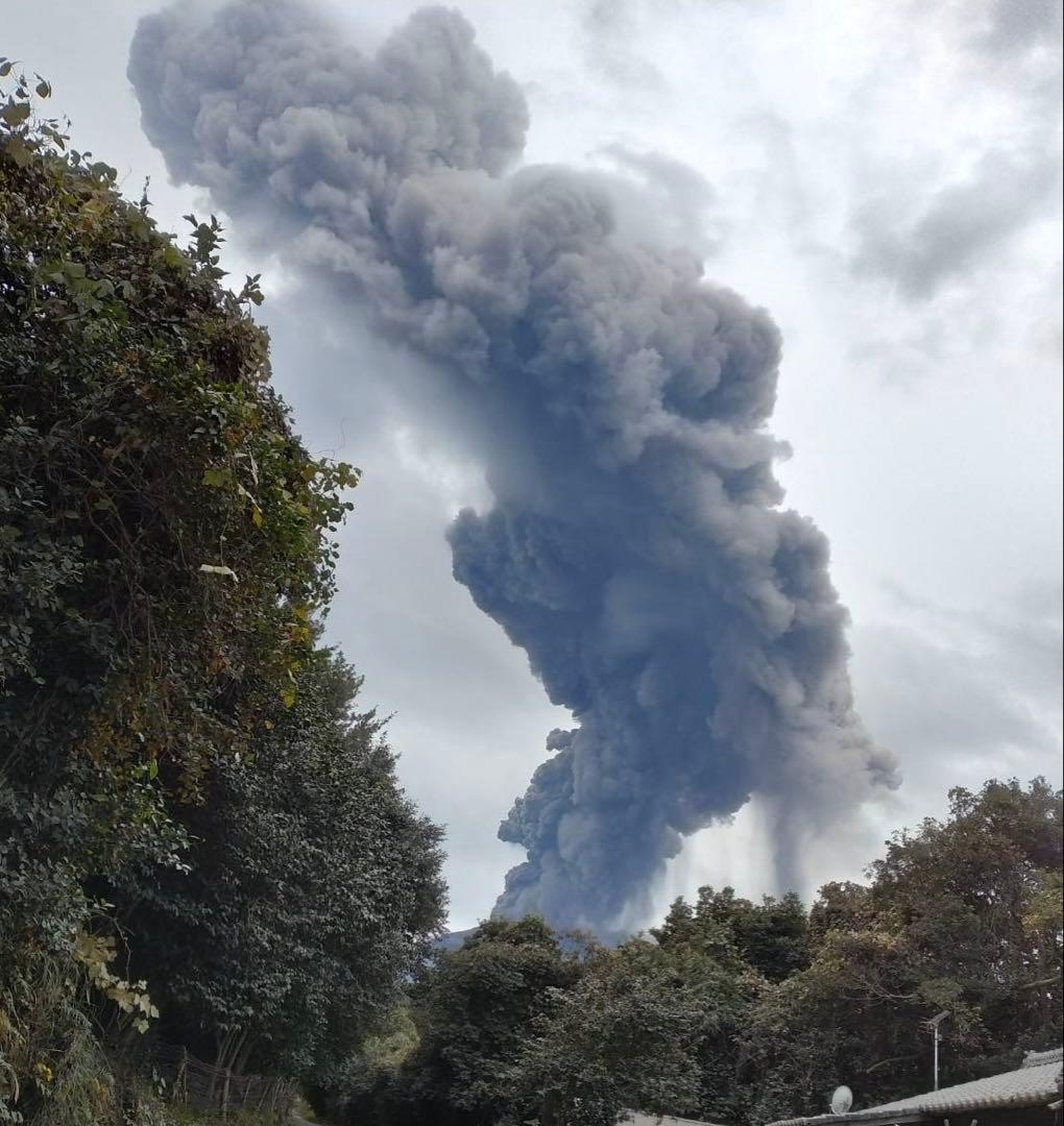 桜島産 椿油 2025年度 一升瓶 約1.8L