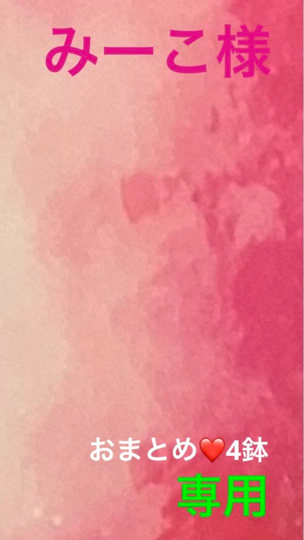 ❤️みーこ様❤️専用のページ❤️寄せ植え❤️