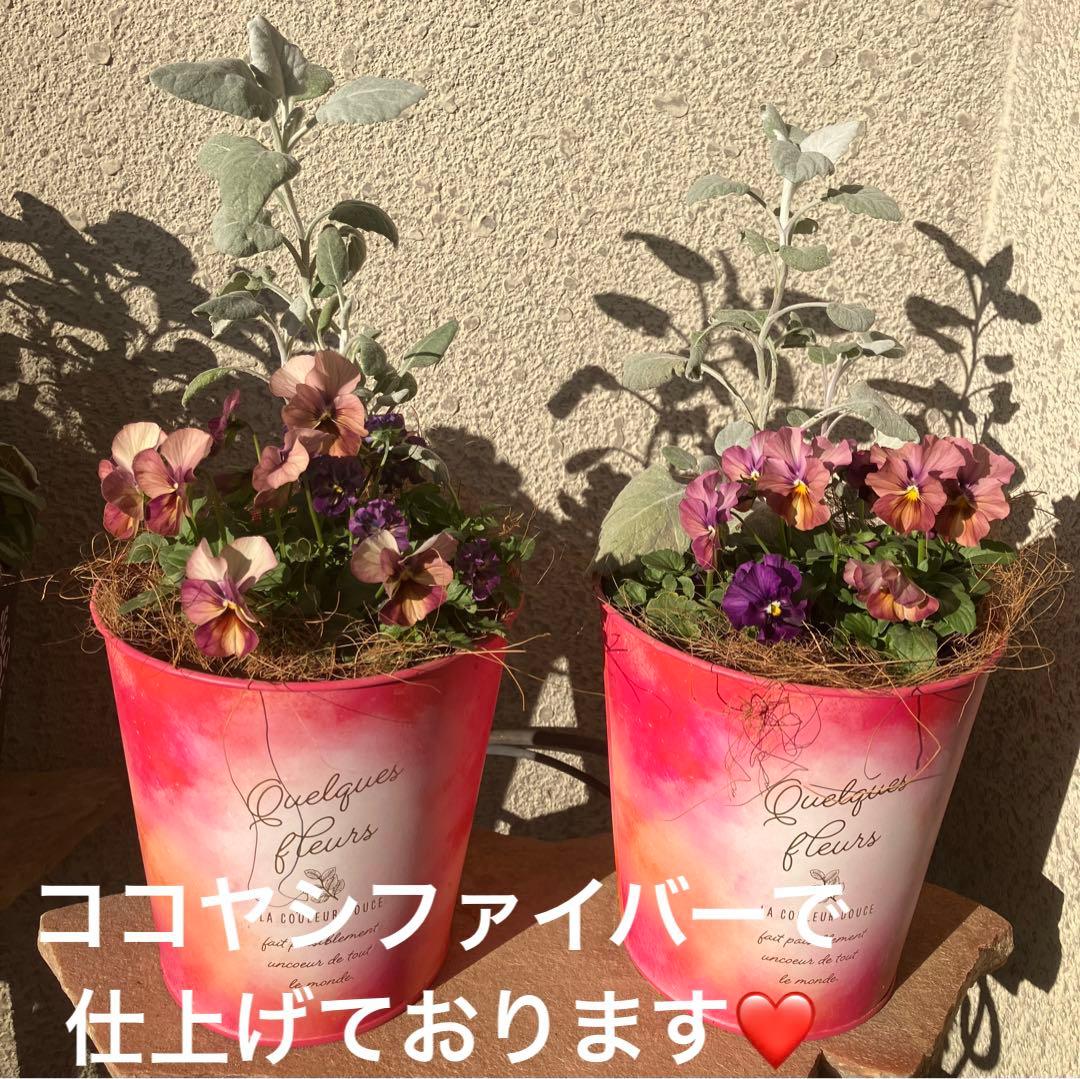 ❤️みーこ様❤️専用のページ❤️寄せ植え❤️