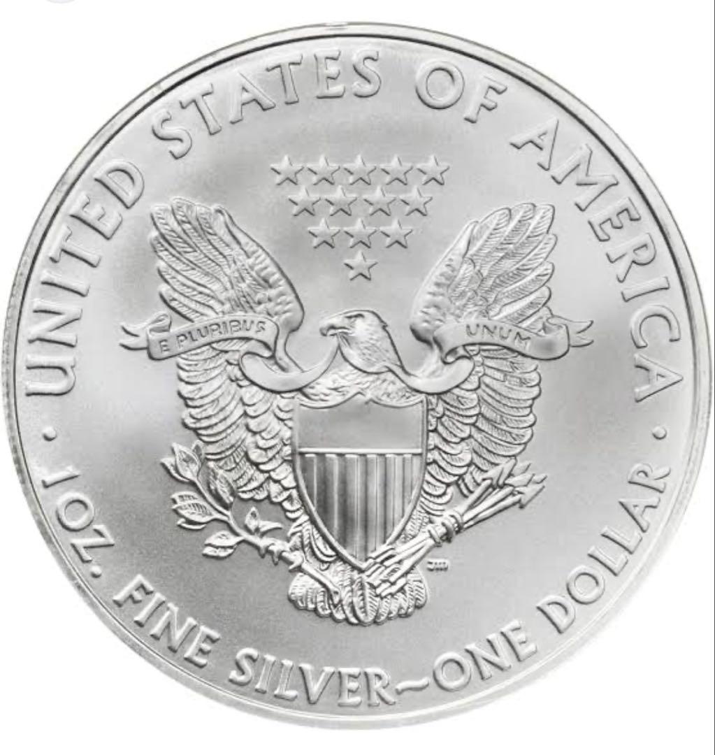 イーグル銀貨／2010年/ウオーキングリバティー/1オンス