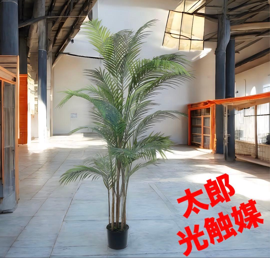 光触媒　人工観葉植物　ウォールグリーン　フェイクグリーン　アレカヤシ'tw