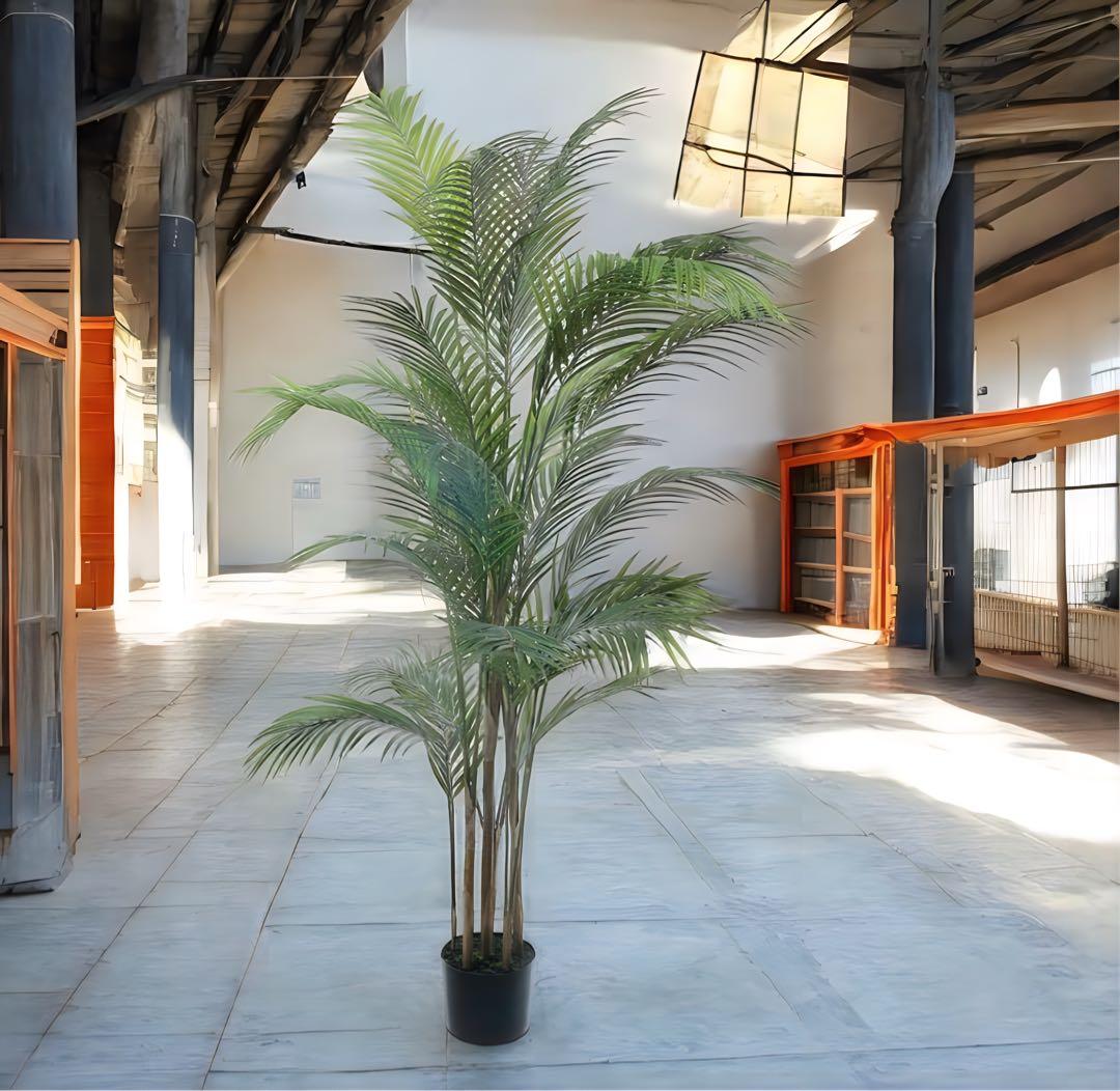 光触媒　人工観葉植物　ウォールグリーン　フェイクグリーン　アレカヤシ'tw