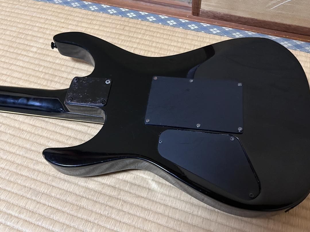 最*人様 FERNANDES LIMITED　EDITION　 現状