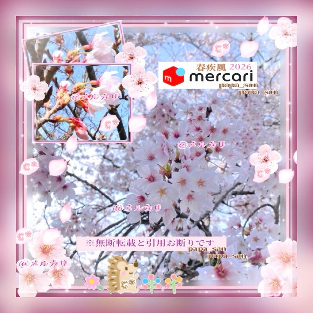 ❀メルカリc様✩ページです