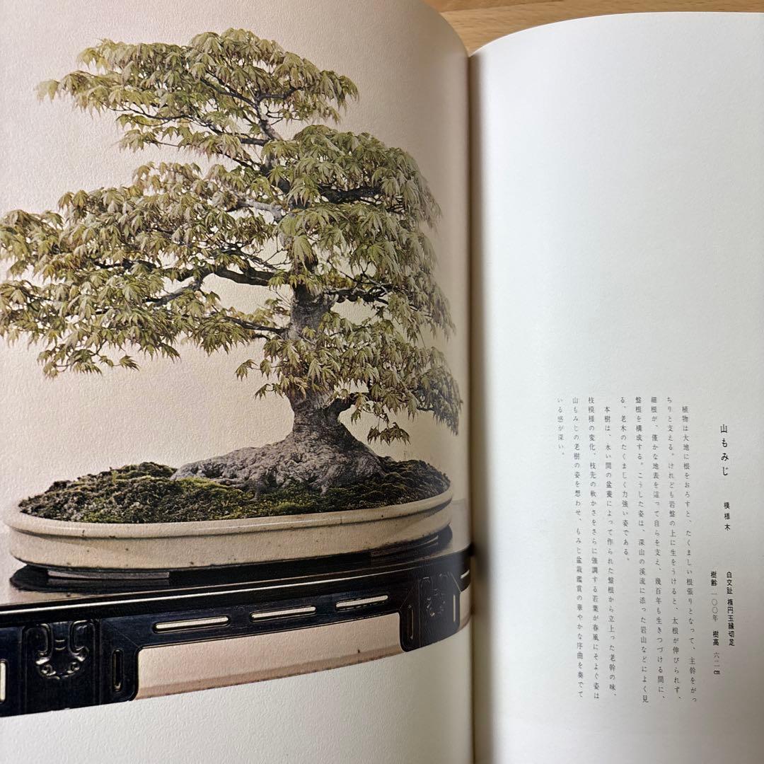 日本盆栽大観 日本盆栽協会 初版
