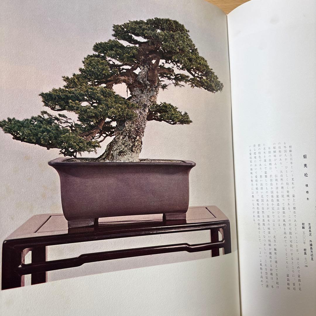 日本盆栽大観 日本盆栽協会 初版