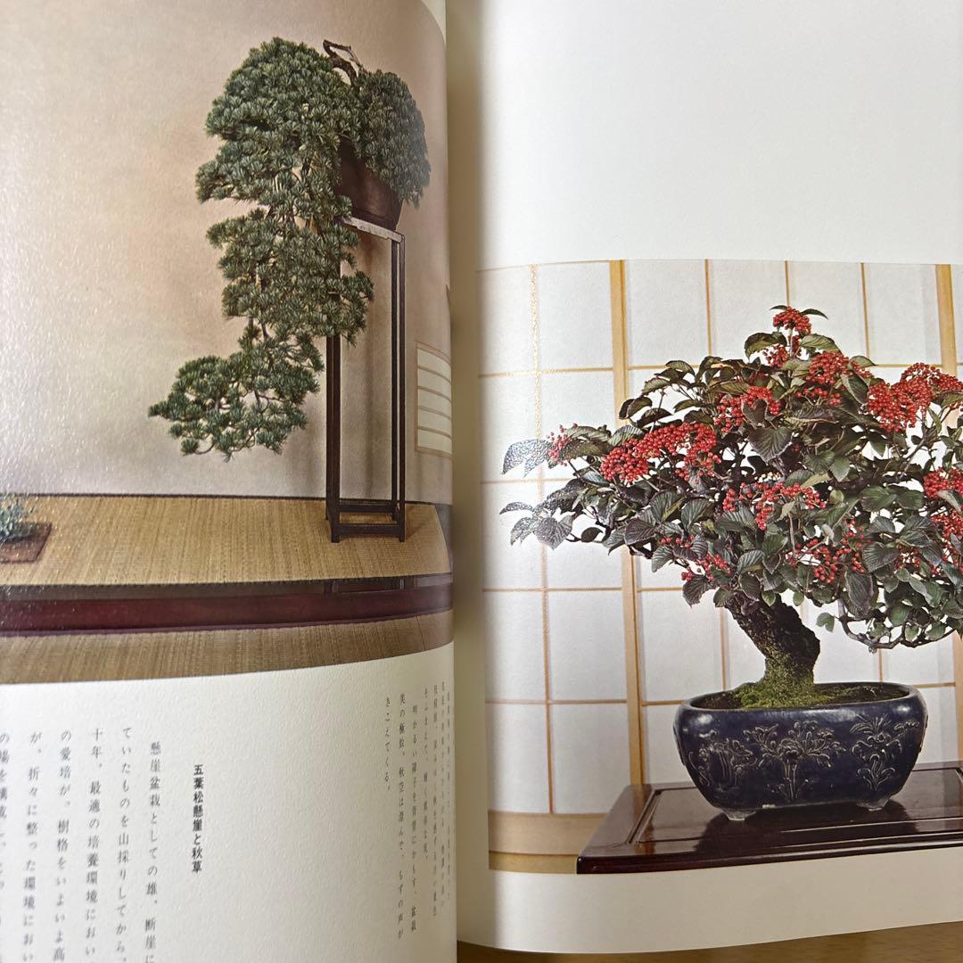 日本盆栽大観 日本盆栽協会 初版