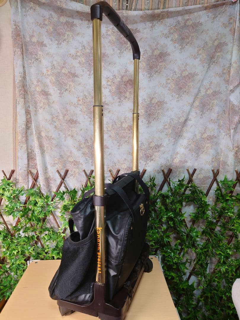 ふ*め様 美品♡旅行やお買い物に活躍❣️カナナプロジェクト　キャリー　ブラック×