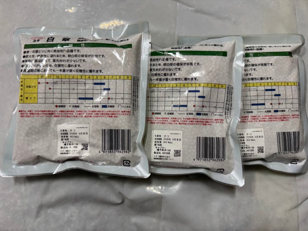 ネギ種子　白翠　6000粒　有効期限26年4月