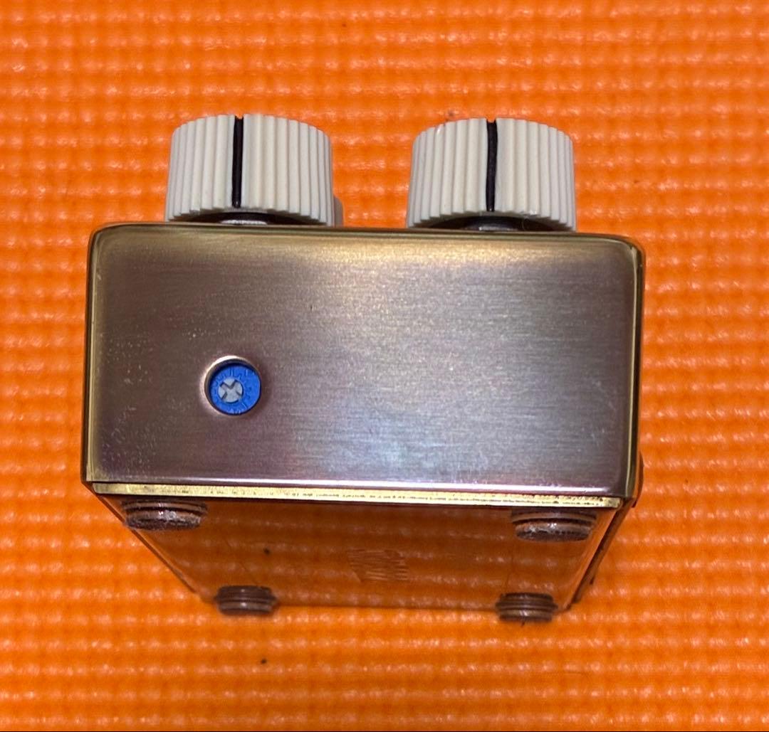 ギター VEMURAM JAN RAY