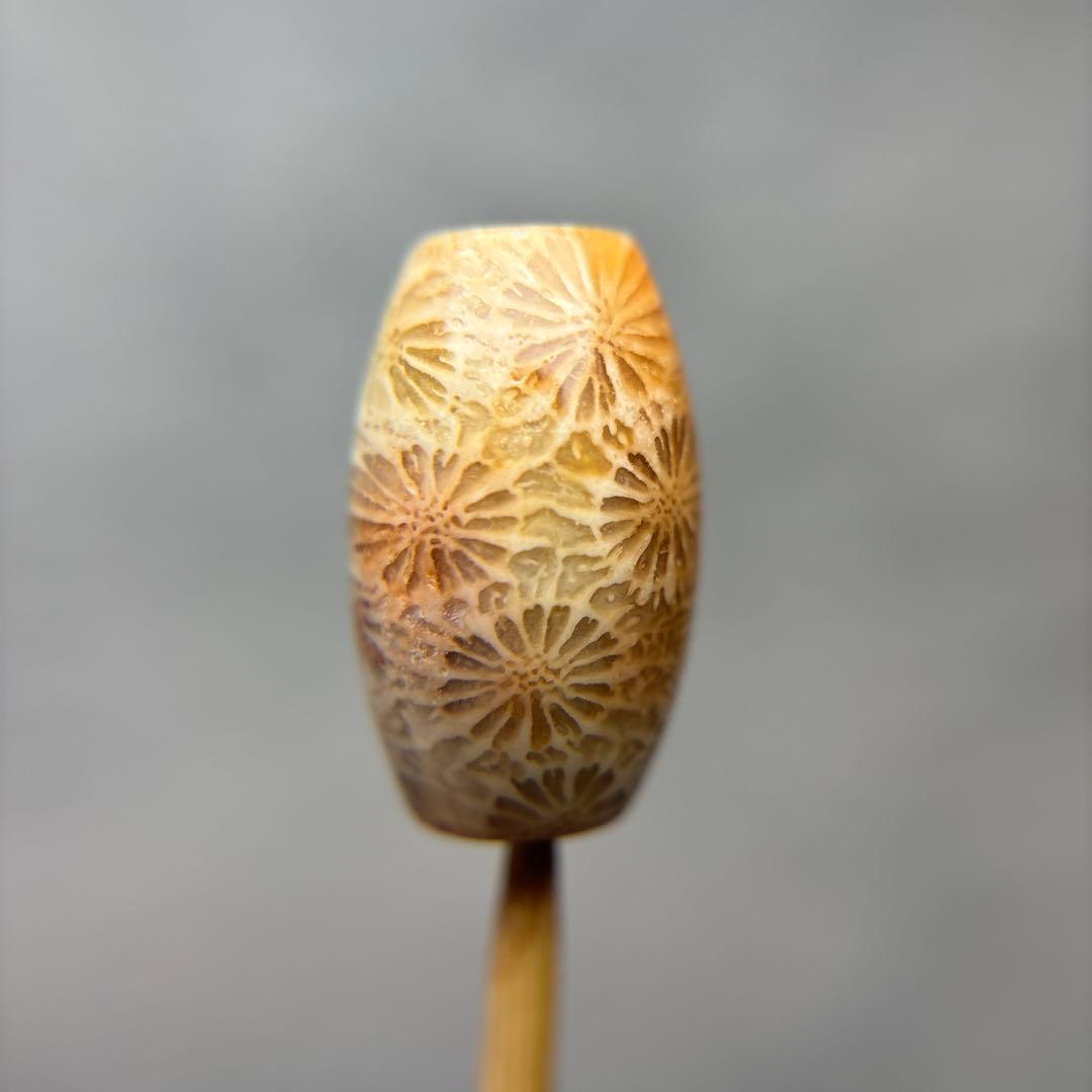 あずきちゃんフォッシルコーラル　天珠　1-311