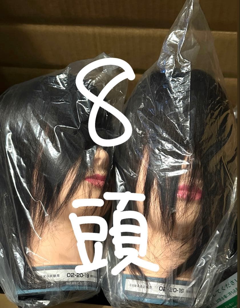 美容師国家試験用カットウィッグ　8体