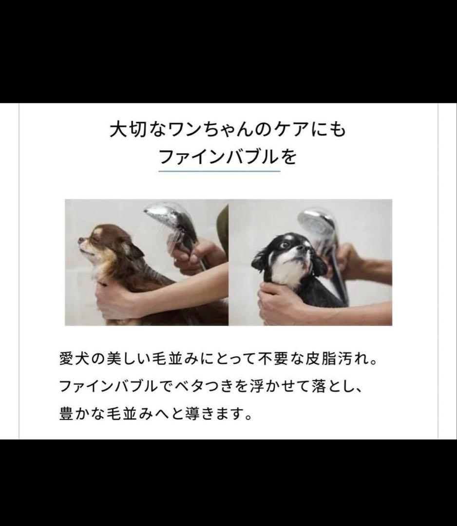 新品 リファ ファインバブルピュア シルバー（限定)カートリッジ付