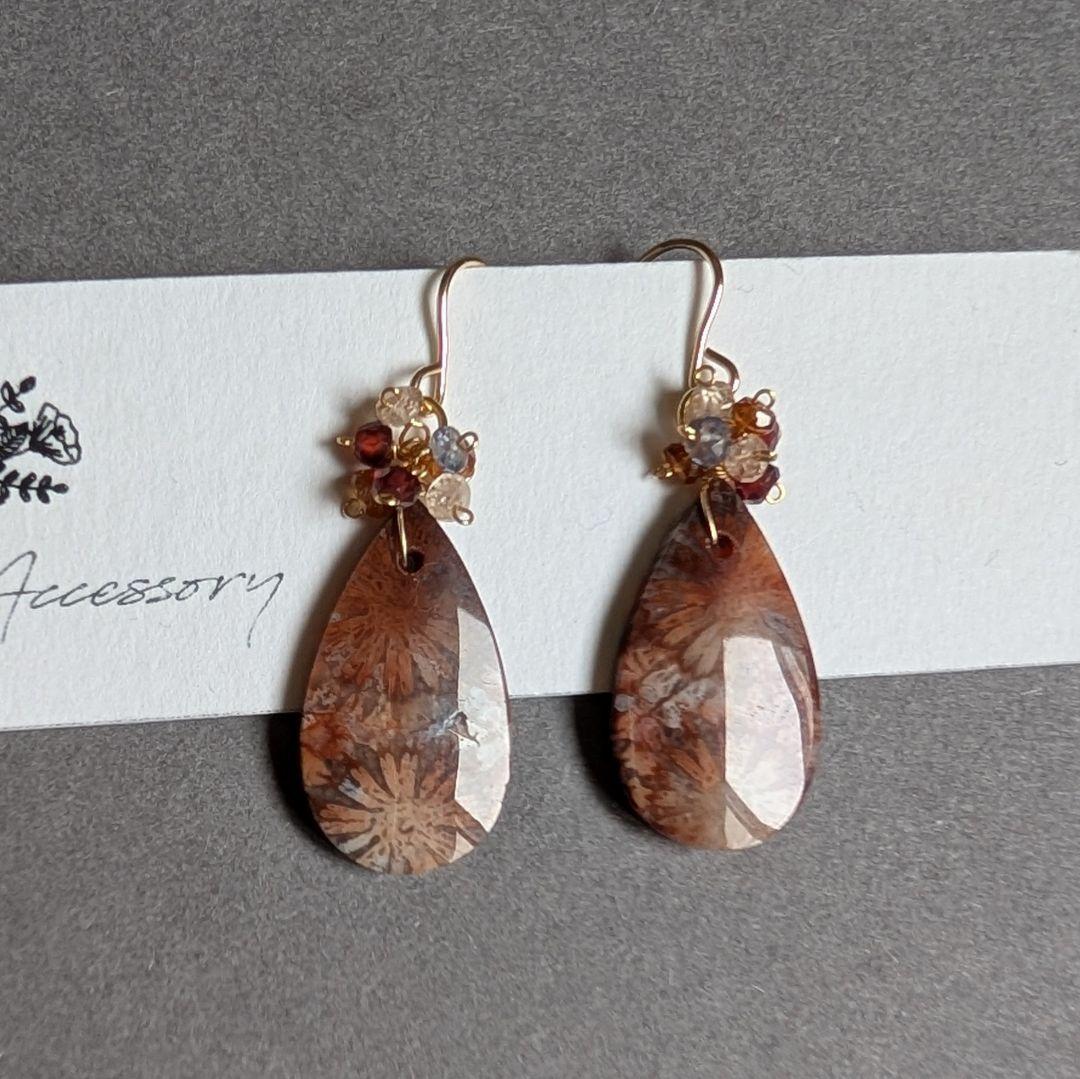 フォッシルコーラル ピアス