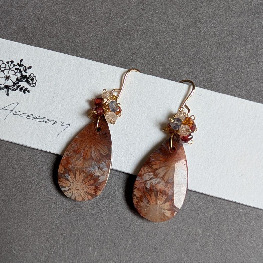 フォッシルコーラル ピアス