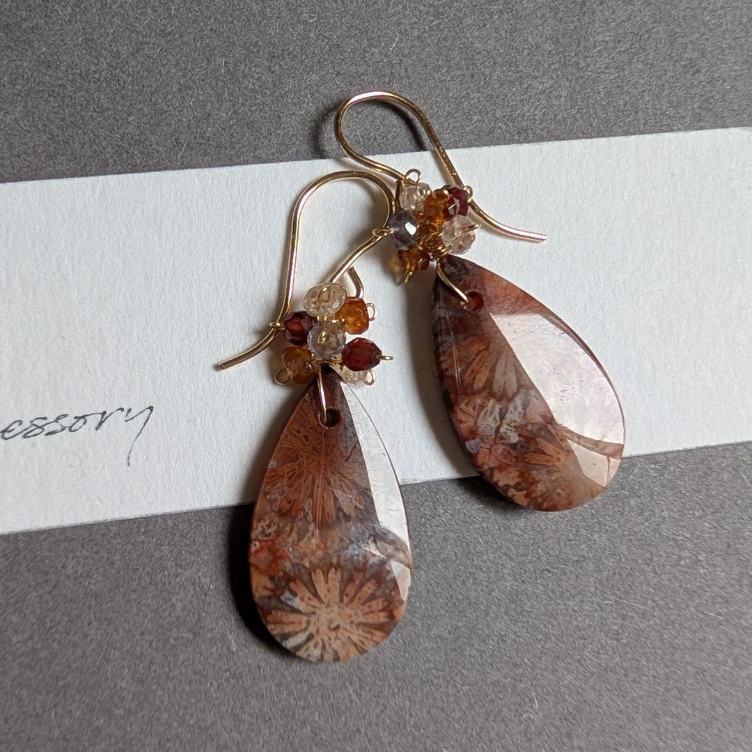 フォッシルコーラル ピアス