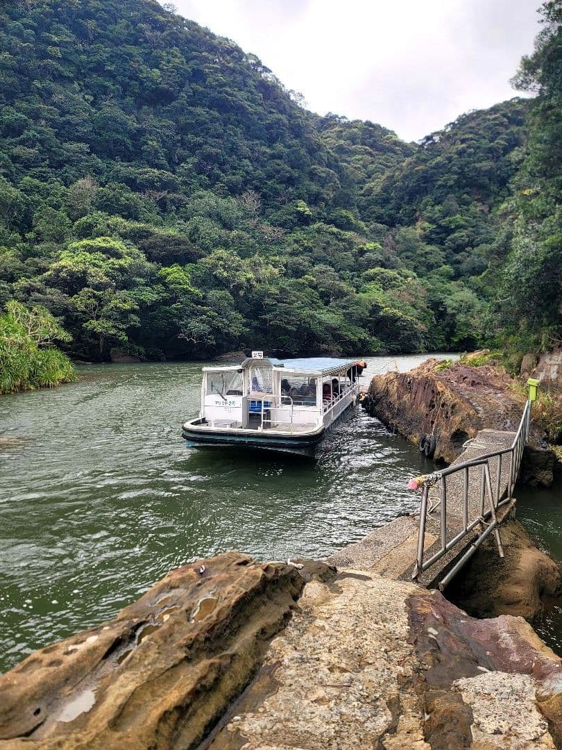 お察し下さいの琉海の守亀オルゴナイトチャーム