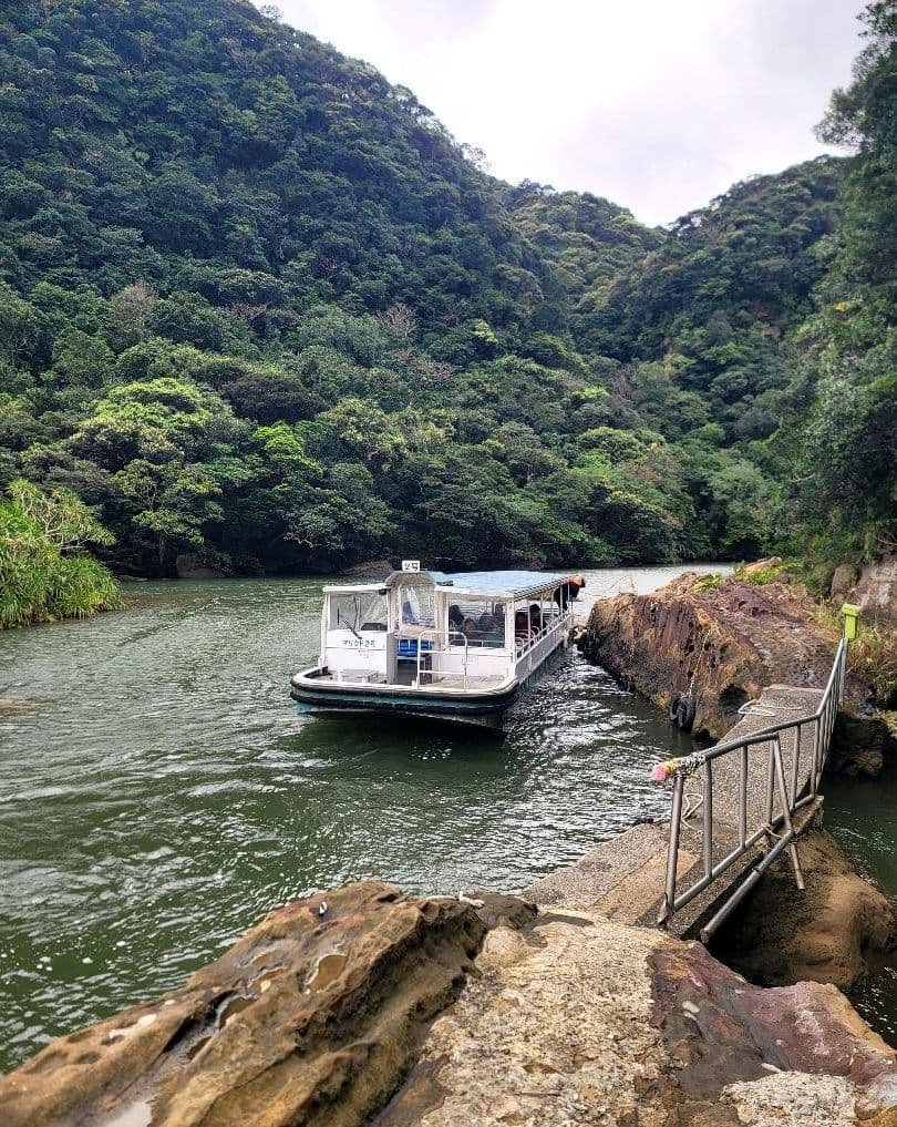 お察し下さいの琉海の守亀オルゴナイトチャーム