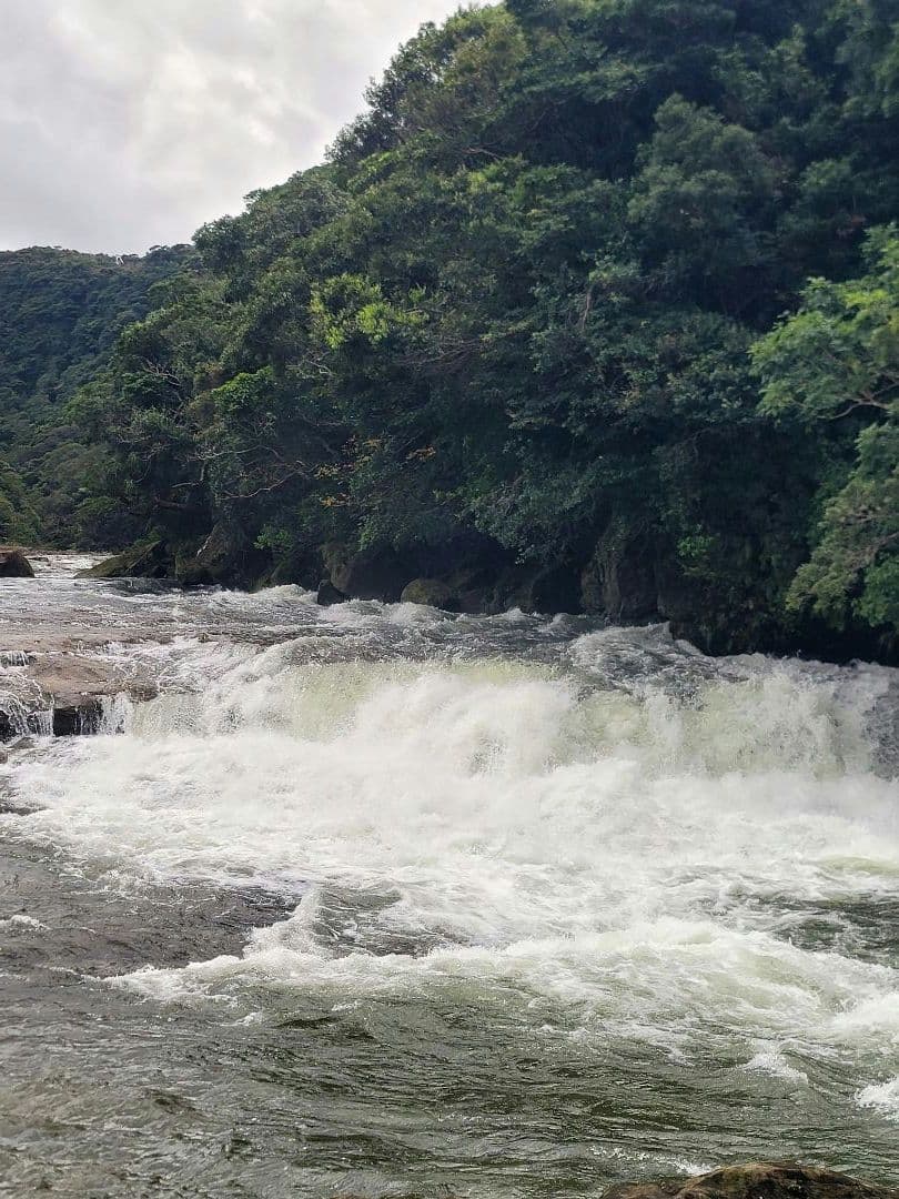 お察し下さいの琉海の守亀オルゴナイトチャーム