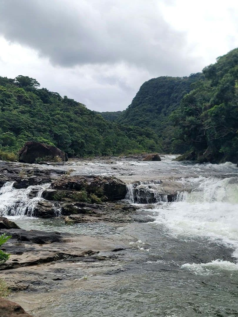 お察し下さいの琉海の守亀オルゴナイトチャーム