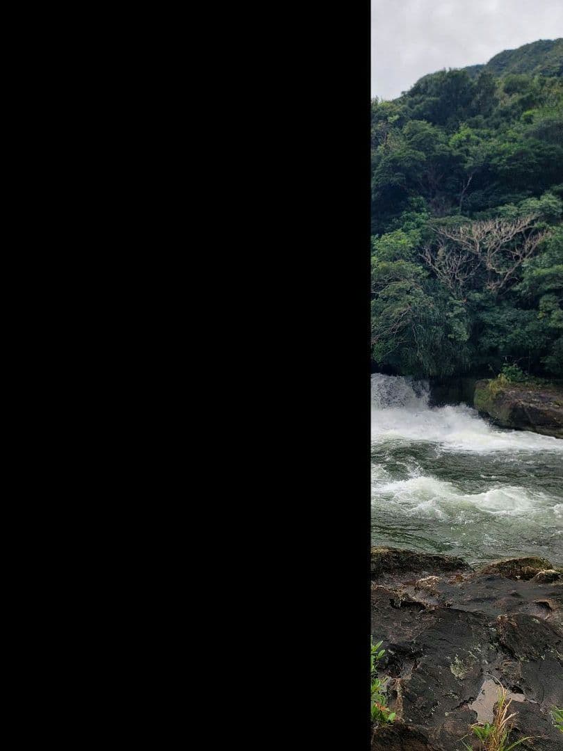 お察し下さいの琉海の守亀オルゴナイトチャーム