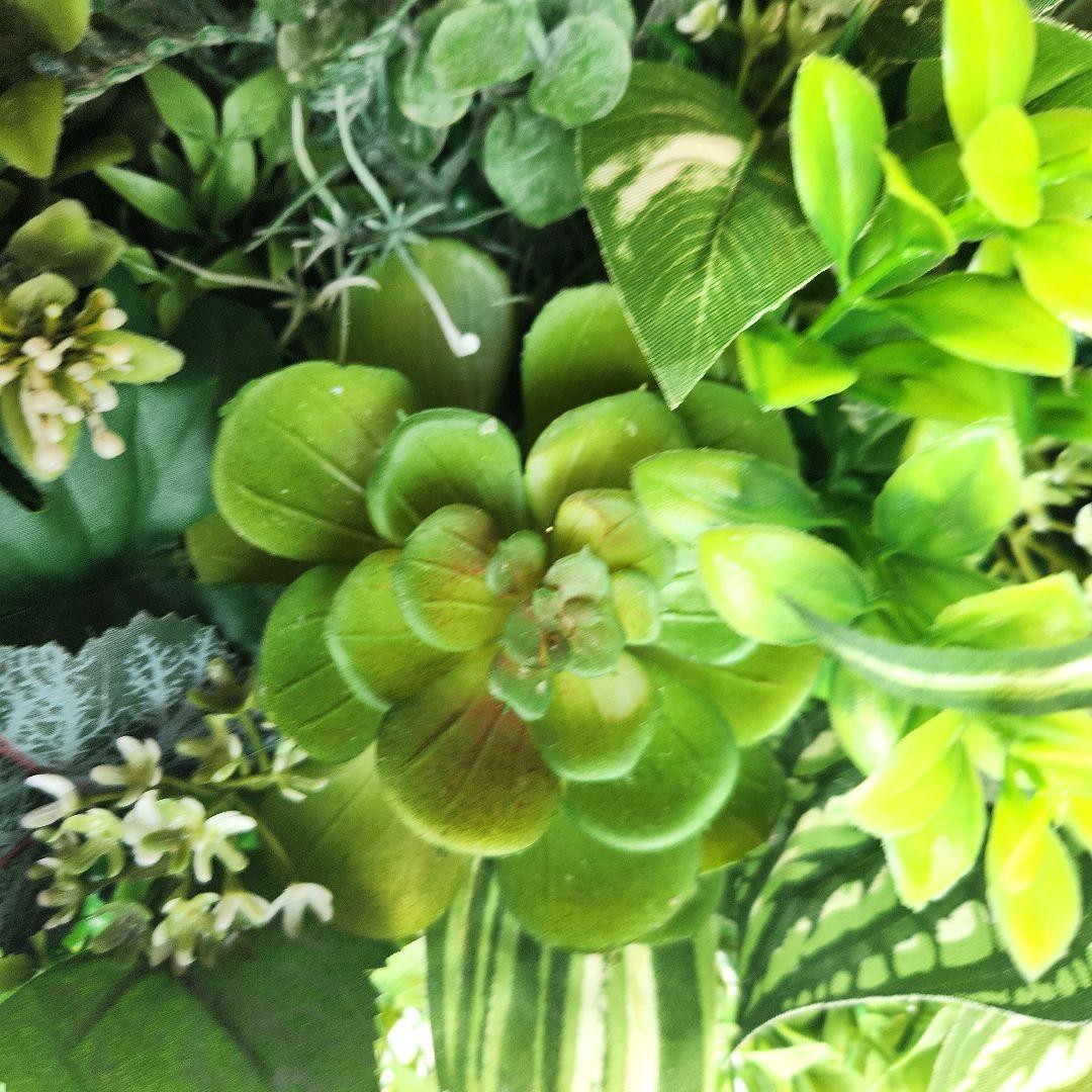 ウォールグリーン77