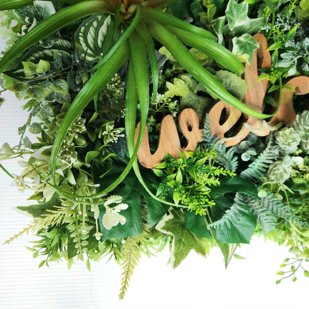 ウォールグリーン77