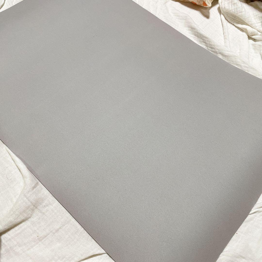 バスマット 速乾 洗える ソフト 40x60×0.5cm ライトグレー