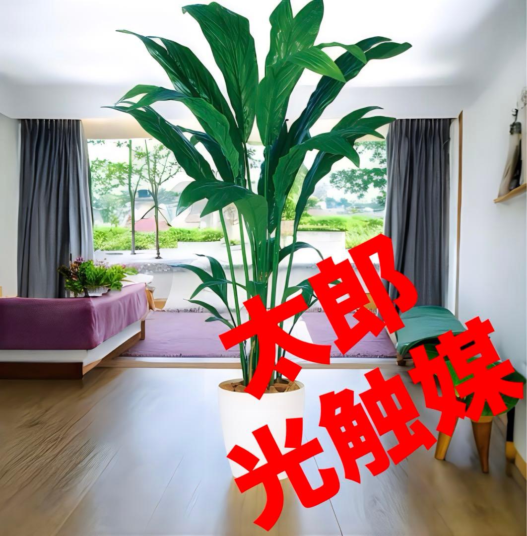 光触媒　人工観葉植物　ウォールグリーン　フェイクグリーン　チャメドレア 160