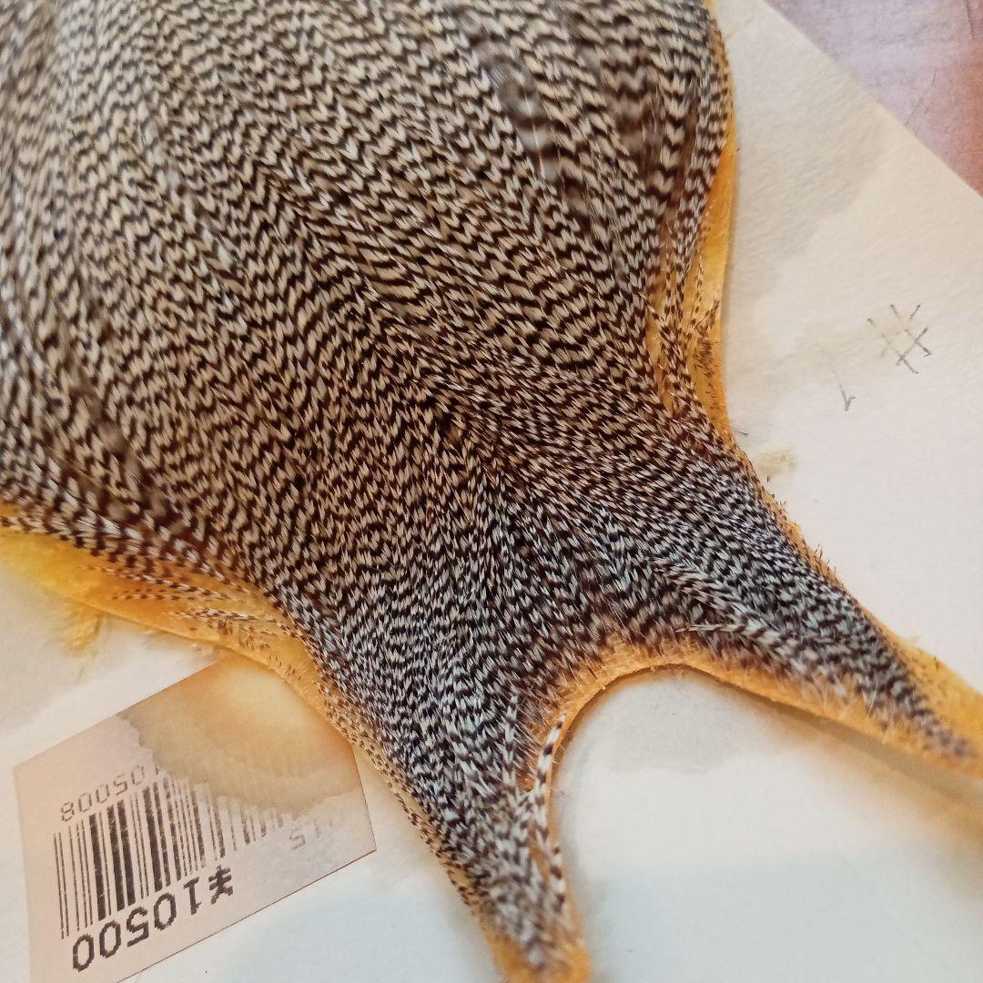 メッツ　コックネック　グリズリー 　♯1　ハックル