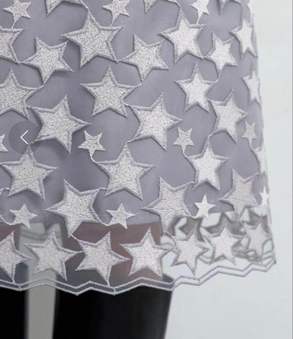 ANAYI アナイ　スターエンブロイダリーＡライン　スカート　星　刺繍　36