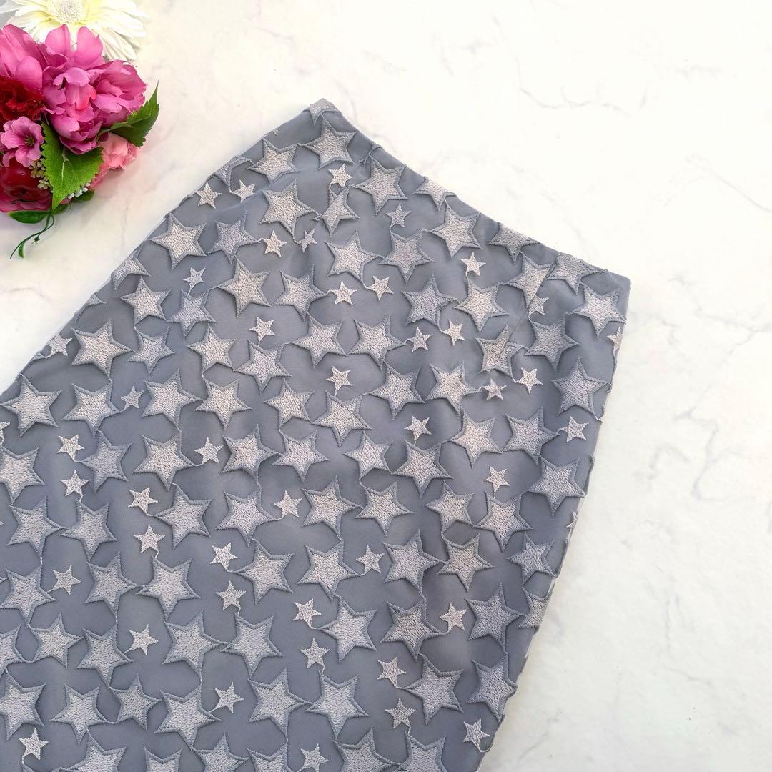 ANAYI アナイ　スターエンブロイダリーＡライン　スカート　星　刺繍　36