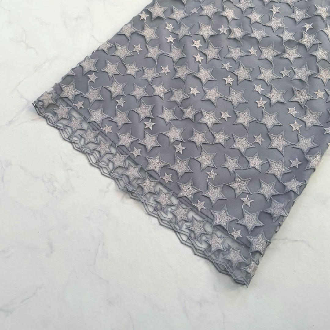 ANAYI アナイ　スターエンブロイダリーＡライン　スカート　星　刺繍　36