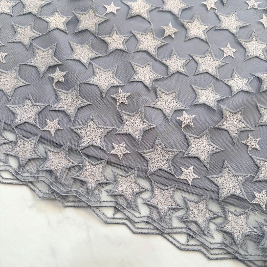 ANAYI アナイ　スターエンブロイダリーＡライン　スカート　星　刺繍　36